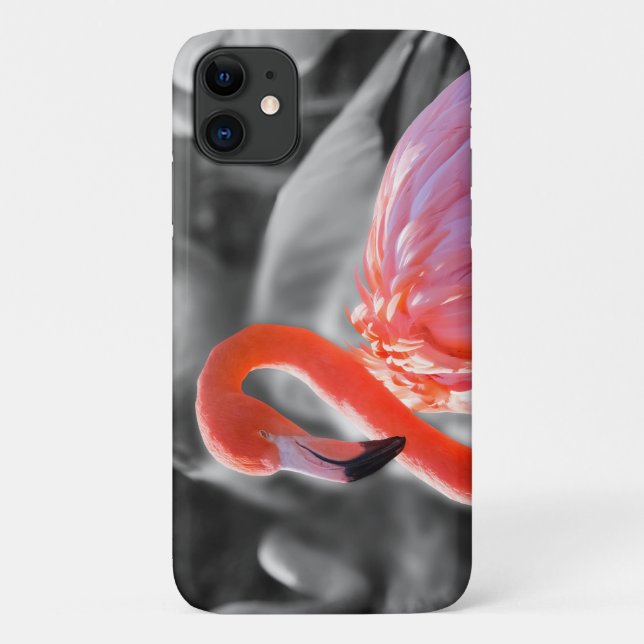 Coques Case-Mate iPhone Photographie d'oiseaux Flamants roses (Dos)
