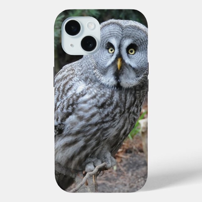 Coques Case-Mate iPhone Photographie du portrait d'hibou (Verso)