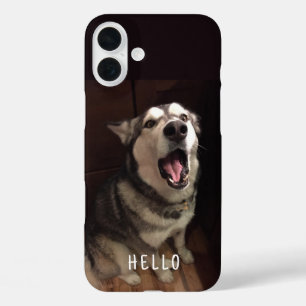 Coque Pour iPhone 16 Plus Photographie d'un Malamute d'Alaska la gueule ouve