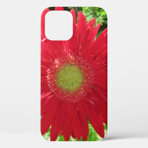 Case-Mate iPhone Case Photographie florale de Red Daisy