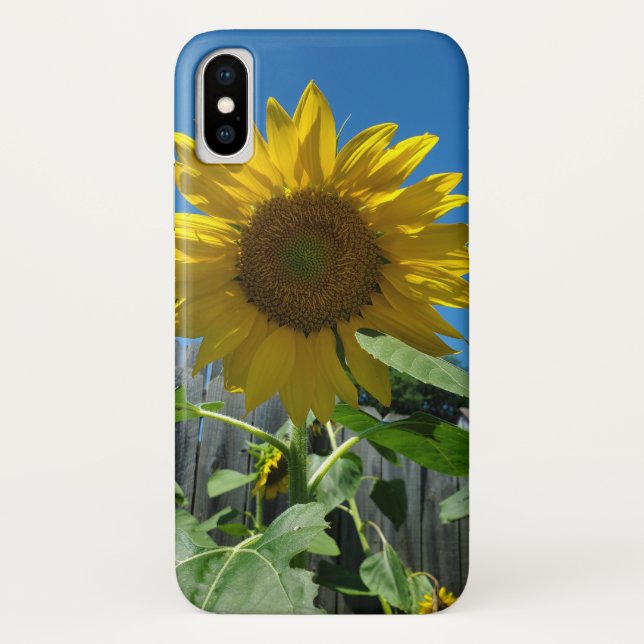 Coques Case-Mate iPhone Photographie jolie tournesol (Dos)