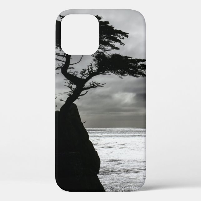 Coques Case-Mate iPhone Photographie nature noir et blanc (Verso)
