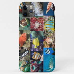 Case-Mate iPhone Case Photos d'animaux de poissons marins de récif coral