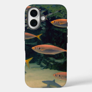 Coque Pour iPhone 16 Photos de poisson rose sous l'eau