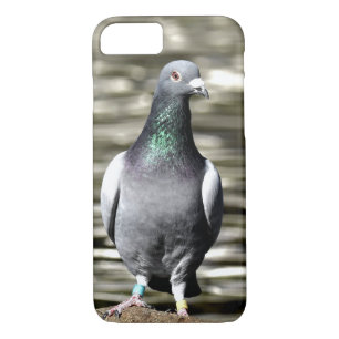 Coque Case-Mate iPhone Pigeon