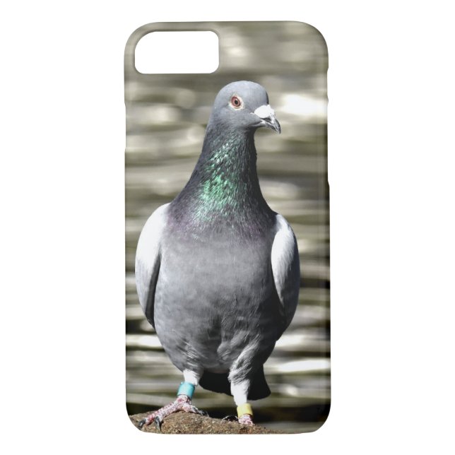 Coques Case-Mate iPhone Pigeon (Dos)
