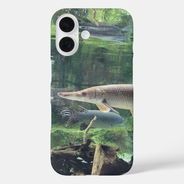 Coques Case-Mate iPhone Pike Fish Ckear Water Photo (Verso)