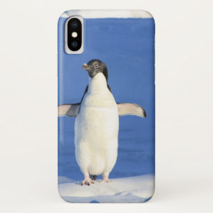 Case-Mate iPhone Case Pingouin drôle sur la glace photo