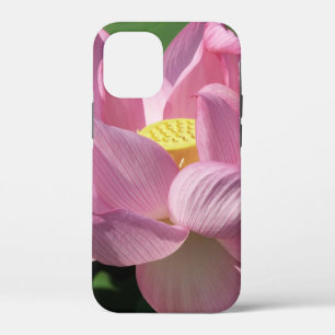 Case-Mate iPhone Case Pink Lotus Flower IV