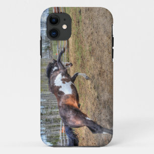 Coques Pour iPhone Pinto Stallion équine photo d'action