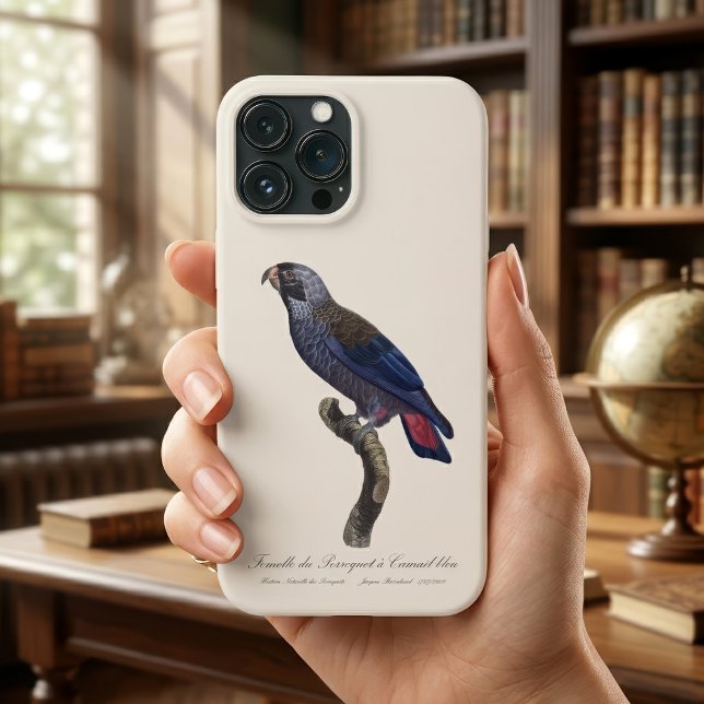 Coques Case-Mate iPhone Pionus fuscus, Pione fuscus ou Pion gris-brun (Dusky Parrot or Dusky Pionus, Pionus fuscus. iPhone Case)