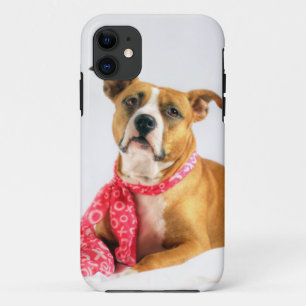 Coque Case-Mate Pour iPhone Pit Bull Puppy Love in Pink XOXO