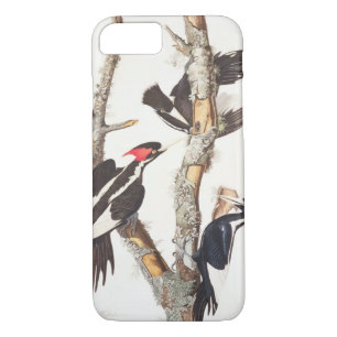 Coque Case-Mate iPhone pivert Ivoire-affiché, 1829, ()