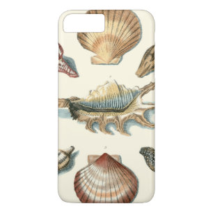 Coque iPhone 8 Plus/7 Plus Plage de Shell soignée