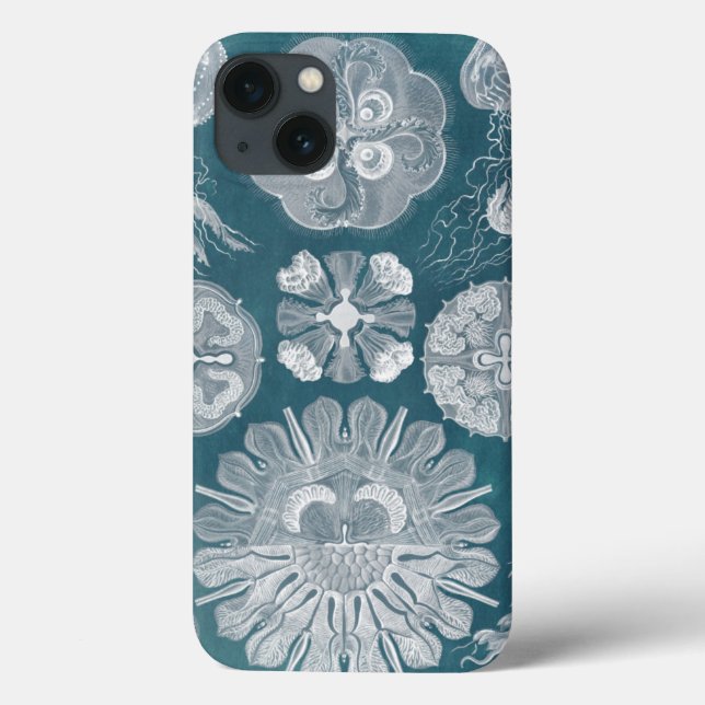 Coques Case-Mate iPhone Plan directeur de la vie marine IV (Verso)
