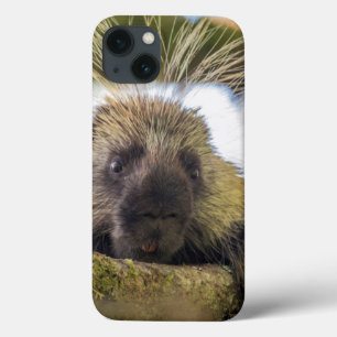 Etui iPhone Case-Mate Plan rapproché de porc-épic dans un arbre