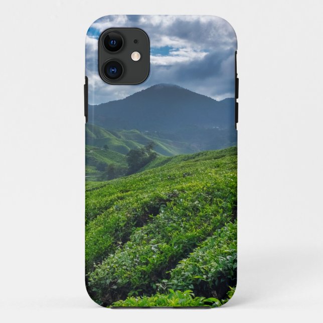Coques Case-Mate iPhone Plantation de thé des Cameron Highlands (Dos)