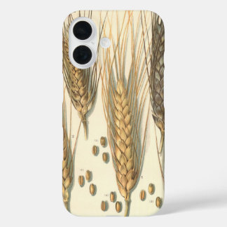 Coques iPhone 16 Plante de blé résistante à la sécheresse, agricult