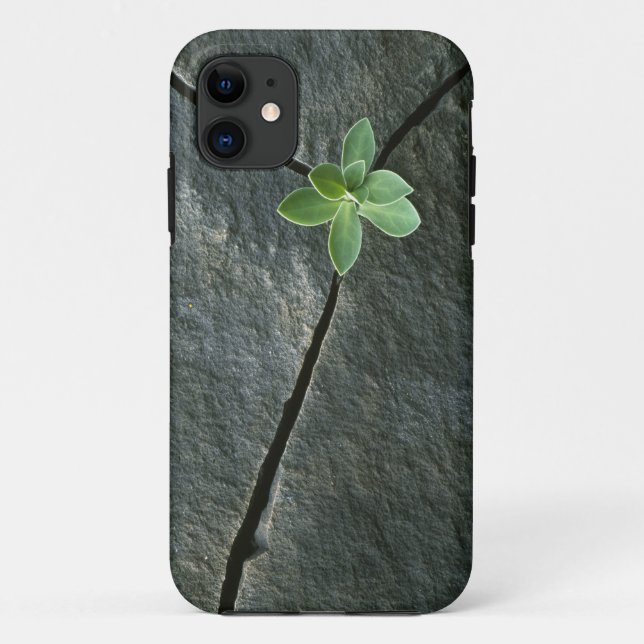 Coques Case-Mate iPhone Plante s'élevant à Boulder criqué (Dos)