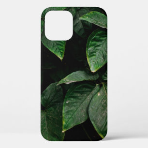 Case-Mate iPhone CASE PLANTE VERT EN PHOTOGRAPHIE CONCENTRÉE
