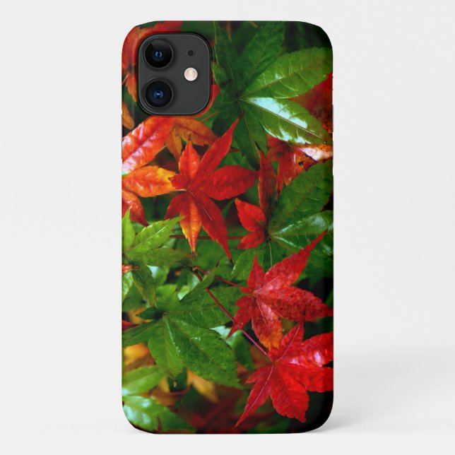 Coques Case-Mate iPhone Pluie d'automne (Dos)