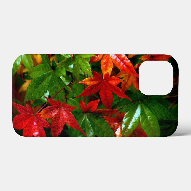 Coques Case-Mate iPhone Pluie d'automne (Verso (horizontal))