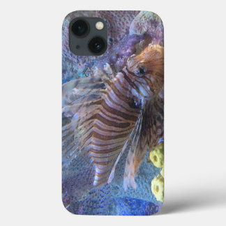 iPhone 13 Coque Poisson