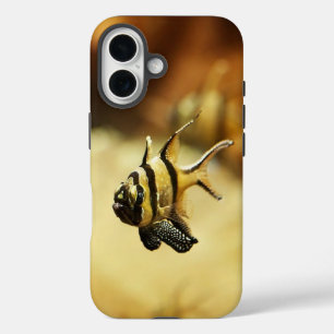 Coque Pour iPhone 16 Poisson-ange rayé Solitaire sous l'eau
