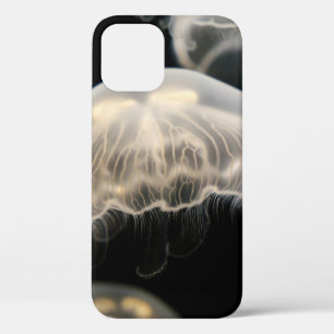 Case-Mate iPhone CASE POISSON BLANC