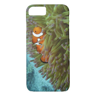 Coque iPhone 8/7 Poisson clown ( Amphiprion ocellaris )