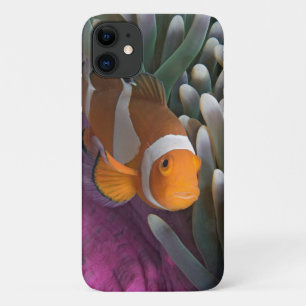 Case-Mate iPhone Case Poisson clown occidental