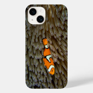 Coque Case-Mate iPhone Poisson, Corail, Sous-marin