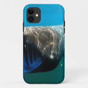 Coque iPhone 11 Poisson de requin Océan tropical Destin Cadeaux