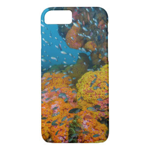 Coque iPhone 8/7 Poisson Parmi La Barrière De Corail