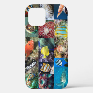 Case-Mate iPhone Case Poissons d'un récif corallien Animaux, Collage de