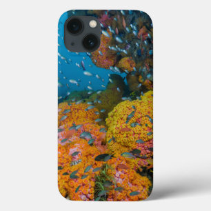 Coques Pour iPhone Poissons parmi le récif coralien
