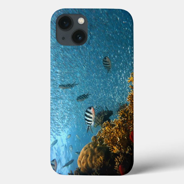 Coques Case-Mate iPhone Poissons, Sous L'Eau, Coraux (Verso)