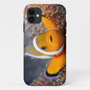 Coque Case-Mate iPhone Poissons tropicaux de récif - Clownfish