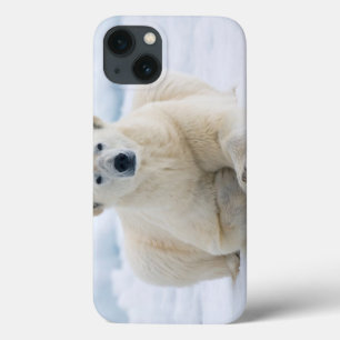 Coque Case-Mate iPhone Polaires adultes concernent la banquise d'été