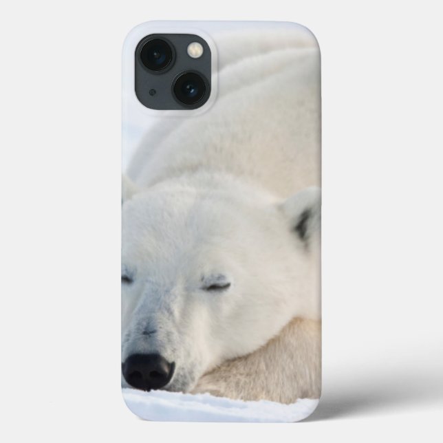 Coques Case-Mate iPhone Polar Bear in winter (Verso)