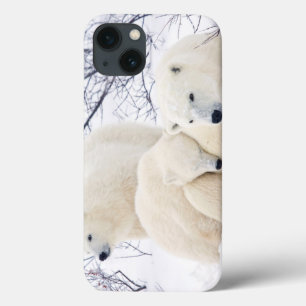 Coque Case-Mate iPhone Polar Bears female and Two cubs