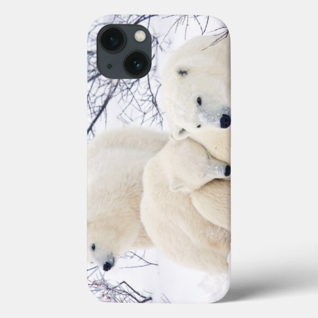 Coques Case-Mate iPhone Polar Bears female and Two cubs (Verso)