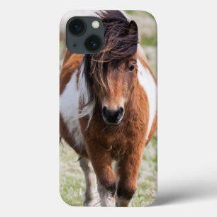 Coques Pour iPhone Poney de Shetland, Îles Shetland, Ecosse