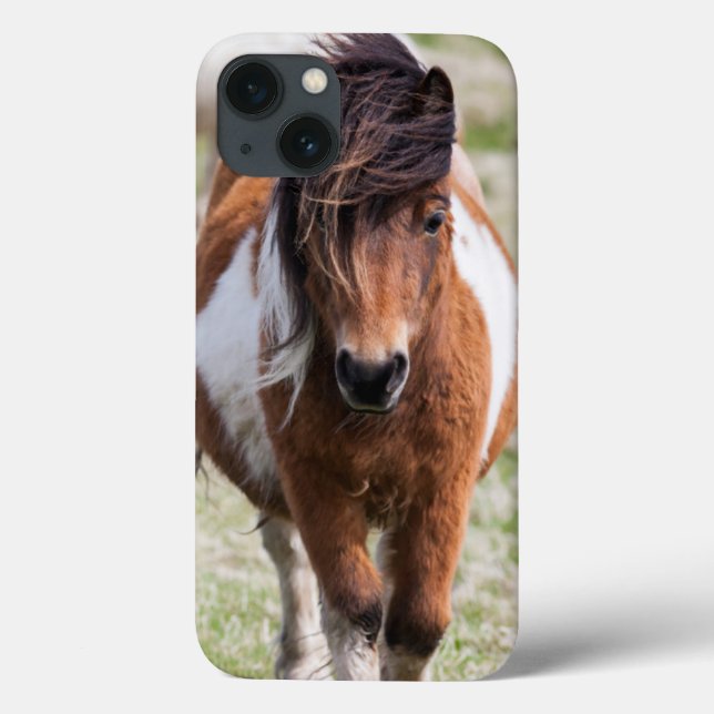 Coques Case-Mate iPhone Poney de Shetland, Îles Shetland, Ecosse (Verso)