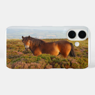 Coque Pour iPhone 16 Poney d'Exmoor, cheval, Somerset, Angleterre