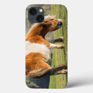 Coque Case-Mate iPhone Poney Shetland dans un pâturage près de hautes fal