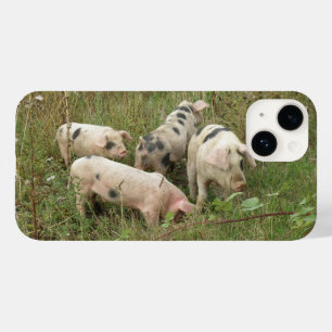 Coques Pour iPhone Porcs dans un champ