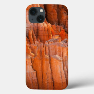 iPhone 13 Case Porte-malheurs de roche dans la lumière de matin
