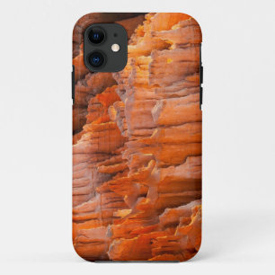 Case-Mate iPhone Case Porte-malheurs de roche dans la lumière de matin