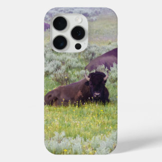 Coque Case-Mate iPhone Porte-téléphone Bison Dreams